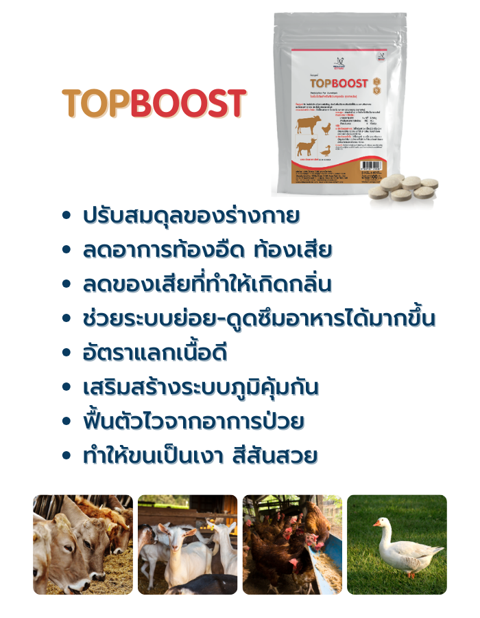 1.Topboost