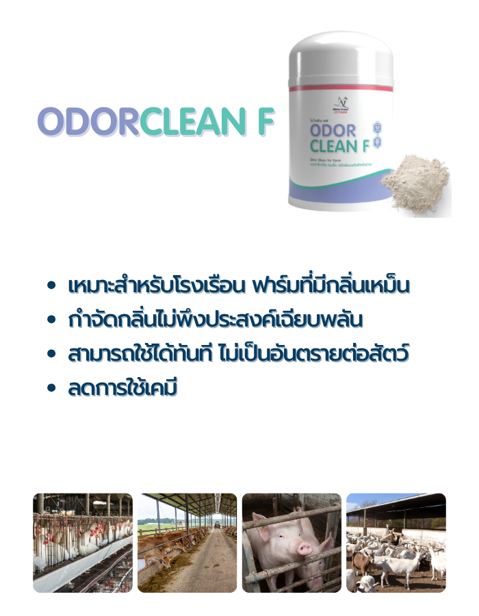 10.Odorclean f