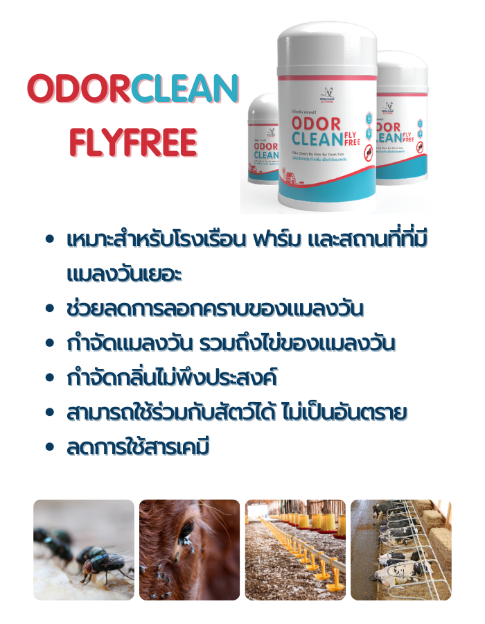 12.Odorclean flyfree