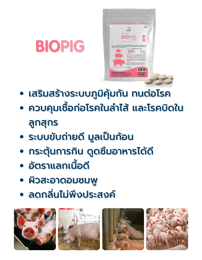 3.Biopig