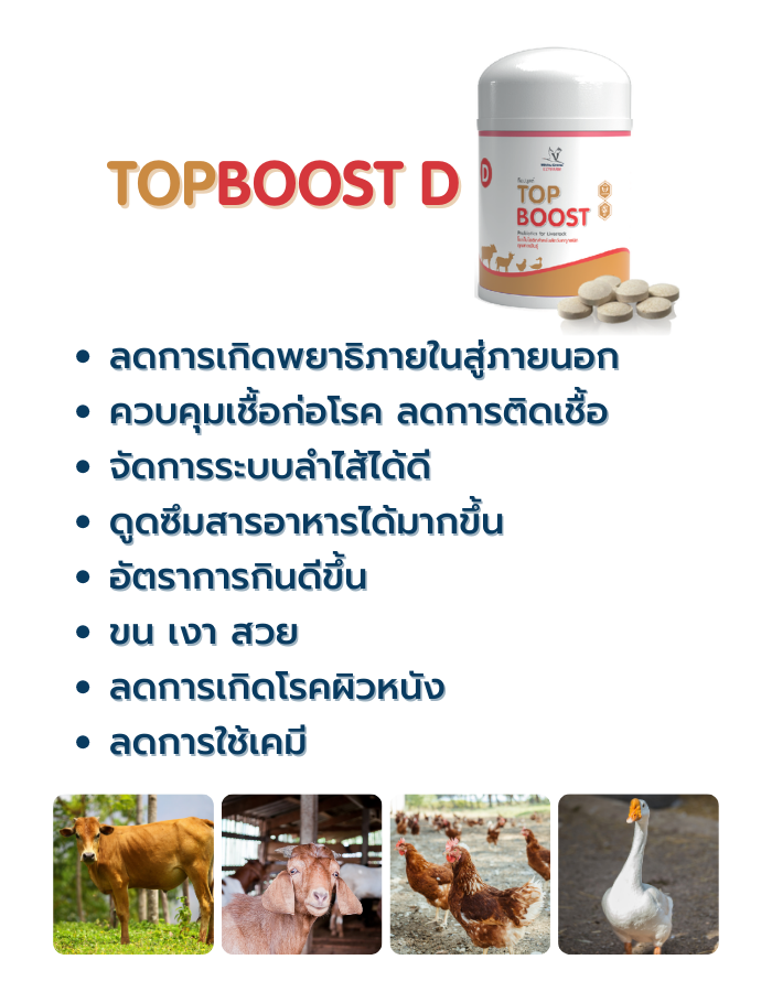 4.Topboost d
