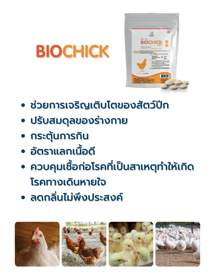 5.Biochick