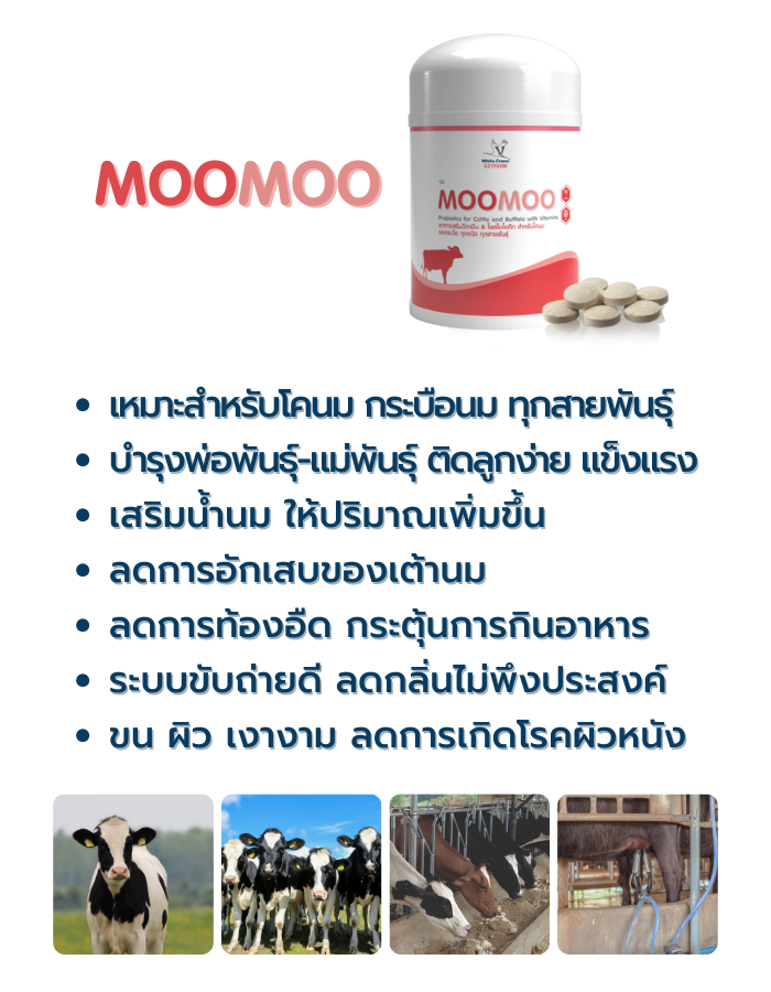 8.Moomoo